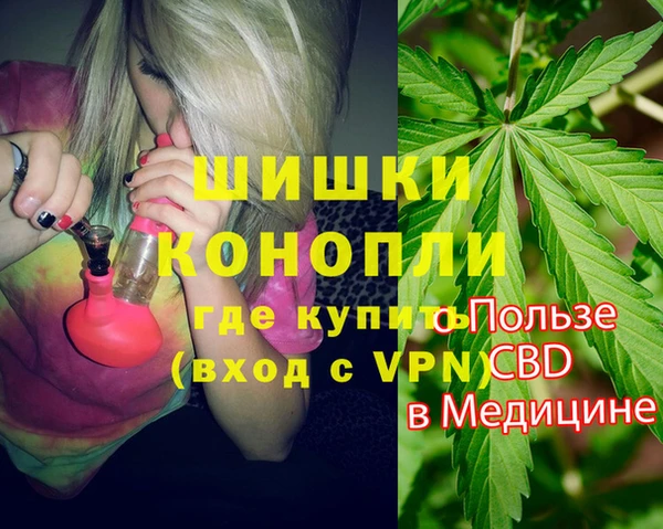 трава Арсеньев
