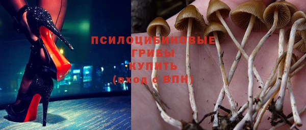 трава Арсеньев