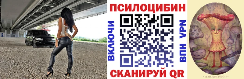 где найти наркотики  Спасск-Дальний  Псилоцибиновые грибы Cubensis 