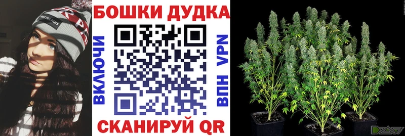 где купить наркотик  Спасск-Дальний  мега ссылка  Каннабис White Widow 